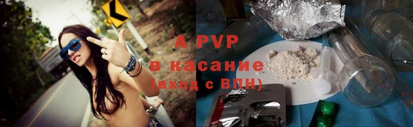 PSILOCYBIN Абаза