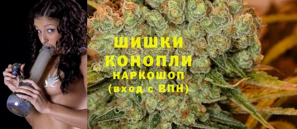 PSILOCYBIN Абаза
