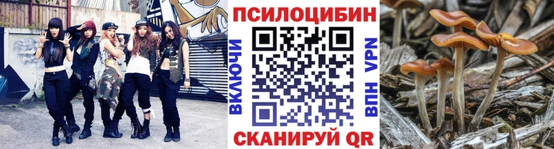 Галлюциногенные грибы мицелий закладка Тюмень